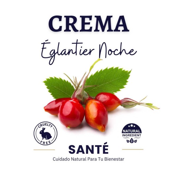 Crema Églantier Noche